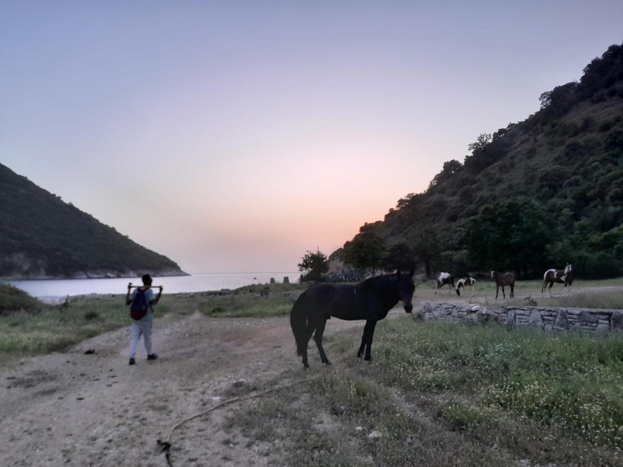 Camping Lost Paradise Eco *